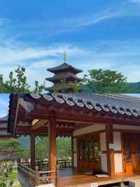 金泉市｜韓國小眾寶藏旅行地