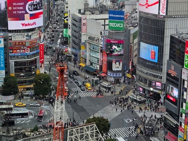Shibuya showtime.