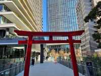 Citywalk to @Tokyo Tower