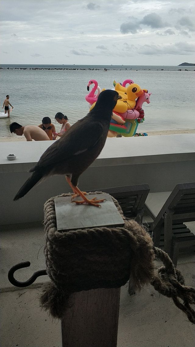 寧靜致遠的湄南度假體驗