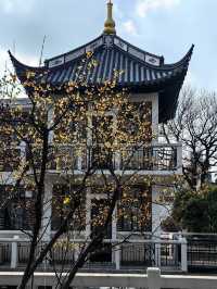 桂林公園探梅記
