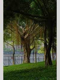 廈門寶藏公園竟然還有人不知道！