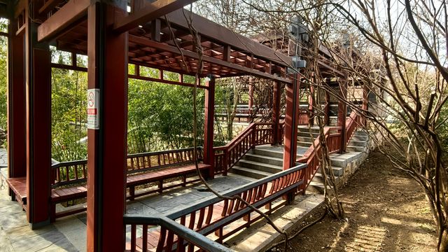3月初的北塢公園，準備迎春了！