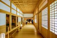名古屋城 | 穿越時空，邂逅日本戰國風雲