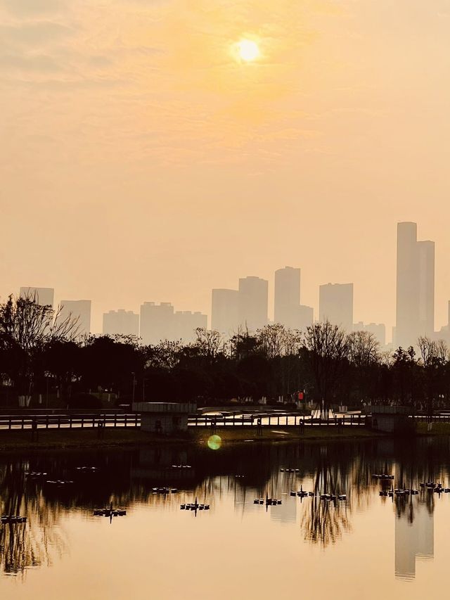 梅溪湖公園｜親子出遊必打卡的寶藏地