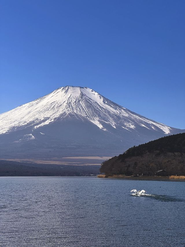 日本6日遊小長假去日本正好