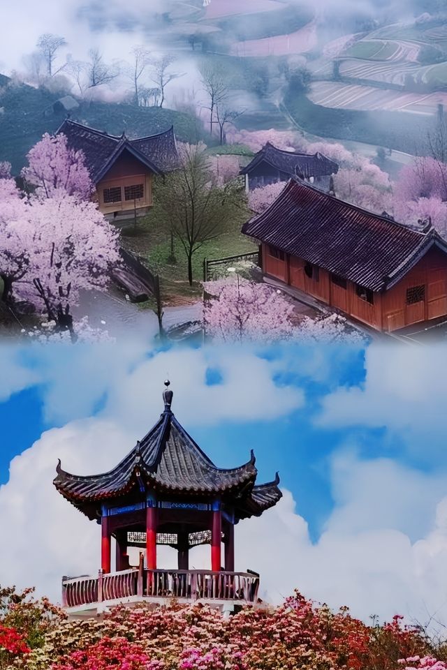 赴一場杜鵑花的約定，貴州百里杜鵑