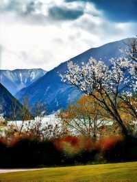 阿克蘇地區等地9日遊 超詳細攻略去了還想去