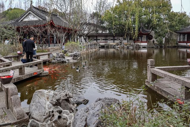 穿越在珍珠塔的後花園