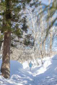 東京近郊｜雪國森林長野兩日遊攻略