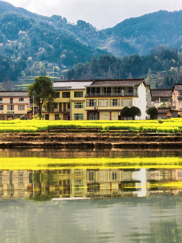 我在漢中上春山，邂逅西北小江南
