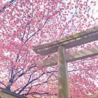 東京最隱秘神社，鬼滅粉必打卡！藏前神社！