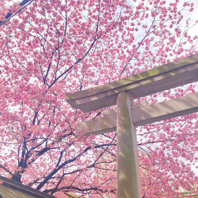 東京最隱秘神社，鬼滅粉必打卡！藏前神社！