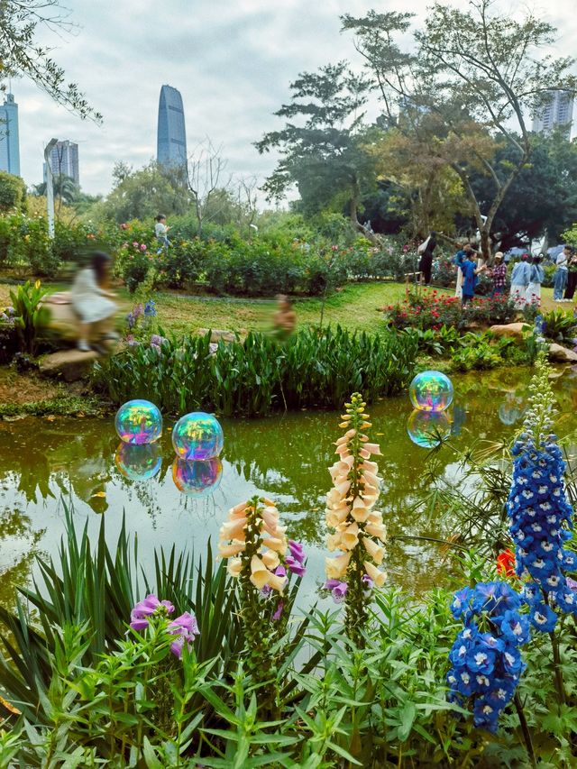深圳版莫奈花園又有新搞作，打卡一流
