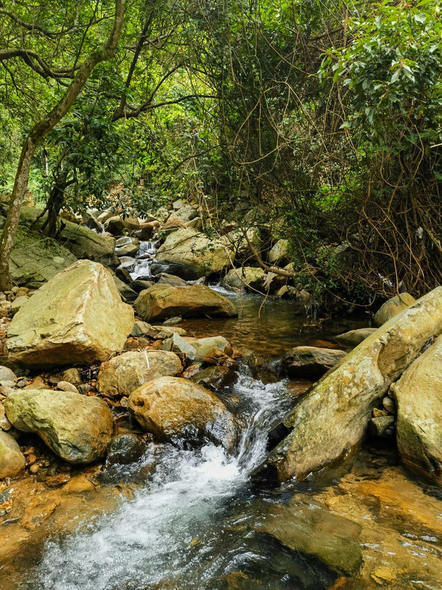 挑戰深圳梧桐山去爬山看這篇就夠了