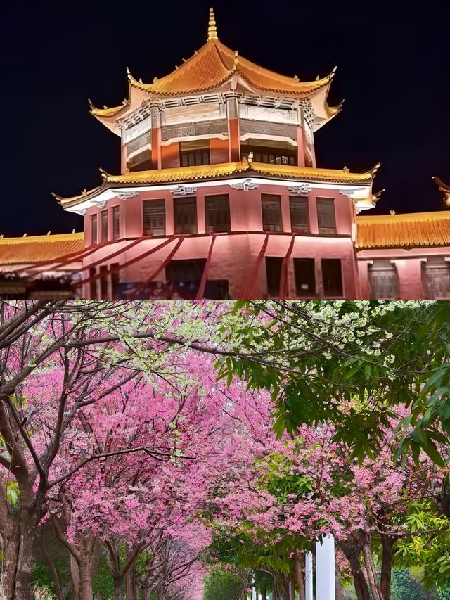 蒙自受罪已回，要去的姊妹慎重。