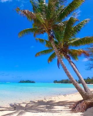 Paradise Coast—Rarotonga's Muri Beach, Dreamy Blue Like Tahiti
