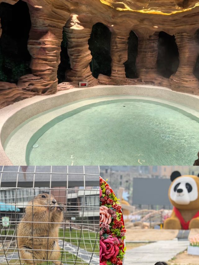 救命！杭州出發1小時閃現宮崎駿漫畫世界！