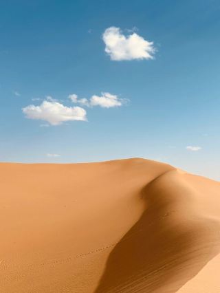 Yinchuan-Alxa Left Banner 4-Day In-Depth Tour: A Super Detailed Guide