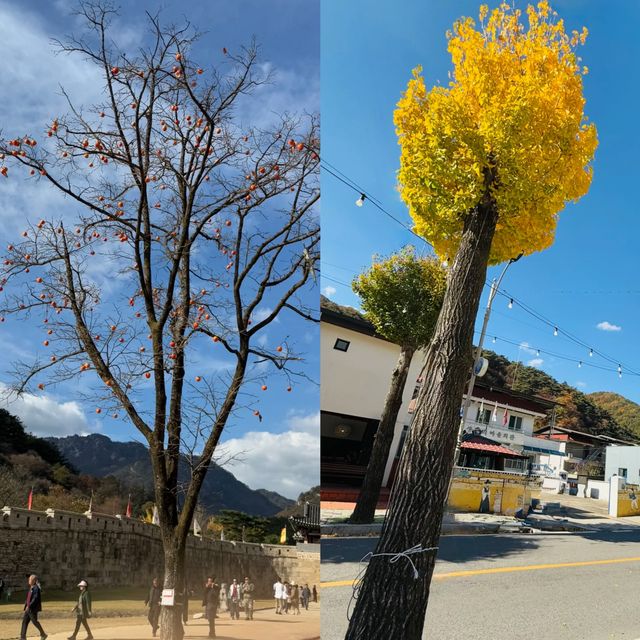 聞慶，邂逅不一樣的韓國小眾寶藏地