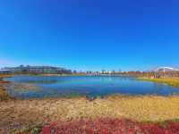 春天是逛公園的好時光～世博文化公園