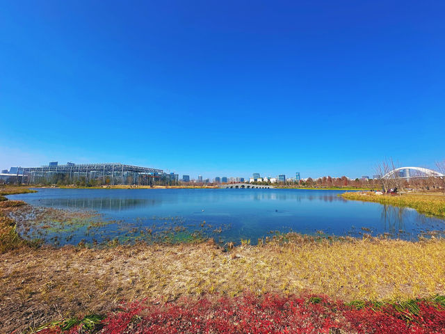 春天是逛公園的好時光～世博文化公園