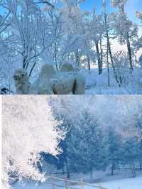 在哈爾濱！最像芬蘭的小眾賞雪地！