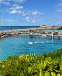 拿騷下船，展開 Blue Lagoon Island 的小眾海島奇遇