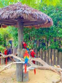 上海野生動物園：與動物共度難忘時光