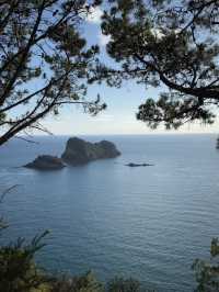 Heaven On Earth At The Coromandel, North Island NZ 