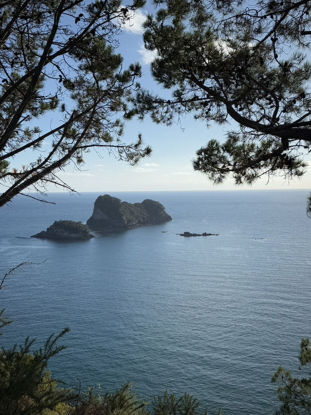 Heaven On Earth At The Coromandel, North Island NZ 