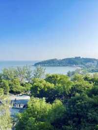 湖光樹影：黑沙水庫的自然絮語