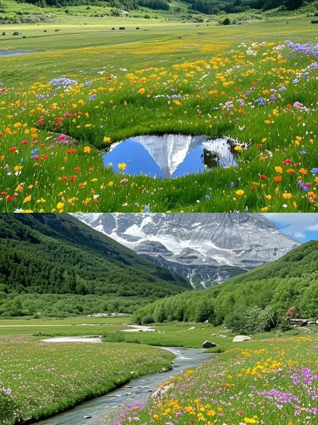 接下來的川西，是萬萬次嘅春和景明