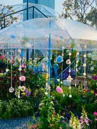 🌼深圳筆架山公園花海，美到失語！