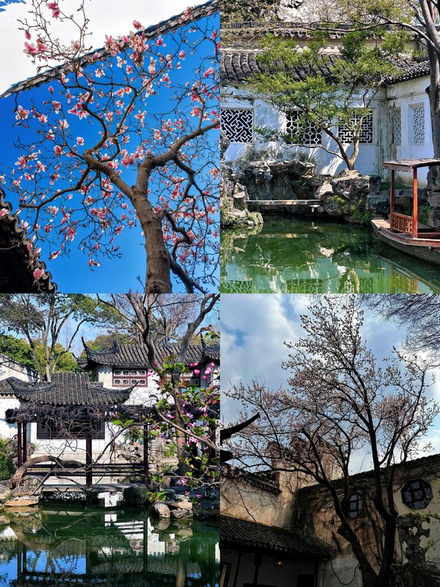 一步一景皆入畫，留園尋夢詩意行