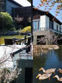 寧波旅行｜東錢湖畔的美學避世酒店