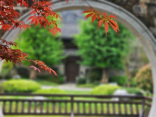 2024年4月帶父母去上饒春遊