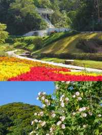 唔小心闖入咗宮崎駿嘅漫畫世界——天人山水