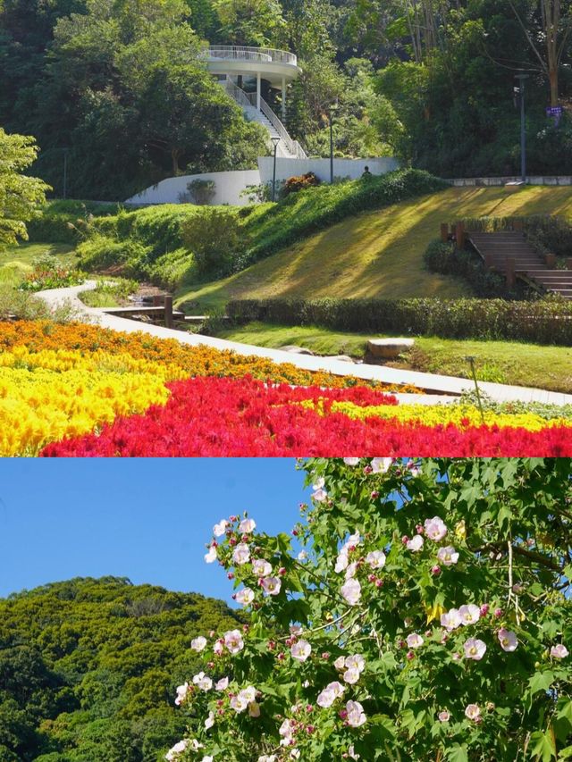 唔小心闖入咗宮崎駿嘅漫畫世界——天人山水