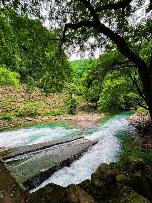錯峰遊皖南川藏線，闖入宮崎駿的童話世界裡