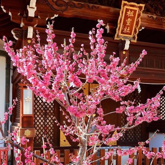 大阪天滿宮，超級靈氣的日本古寺✨