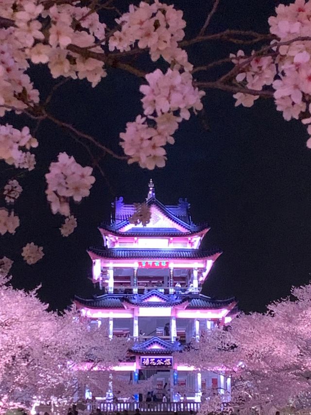 黿頭渚已回，聽我一句勸