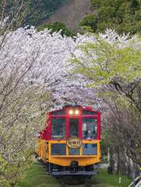 Kyoto Arashiyama Adventure: Complete Sagano Train & Sightseeing Guide 🚂