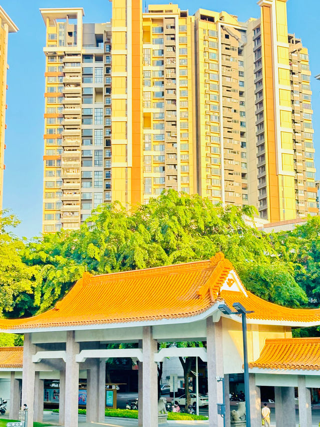 📸中山必去｜華僑公園 免費打卡聖地✨