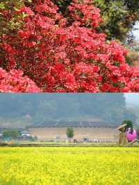 春天就要去「村」遊！福建寶藏村落等你來玩