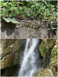 第一次去青城山，直接複製這個攻略