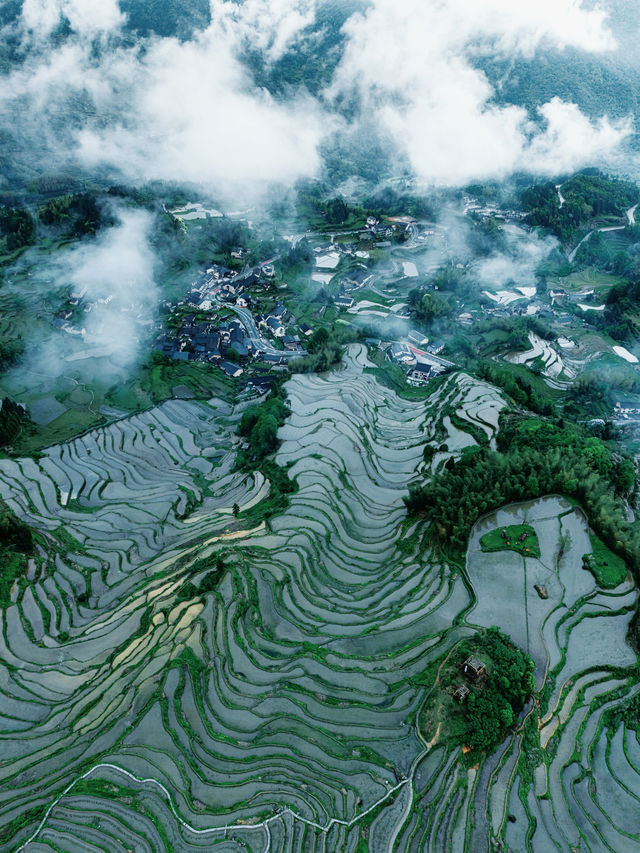 五一出行小抄…國家地理推薦的春日漫遊地