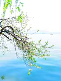 杭州嘅春日限定！喺西湖邂逅一場桃花嘅浪漫