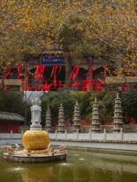 泰安旅遊攻略：登泰山而小天下