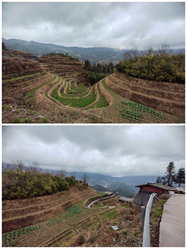 桂之旅丨龍勝龍脊梯田a